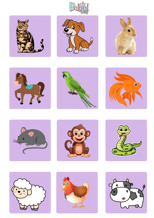 Molde Animais Quem Sou - Bebelplay